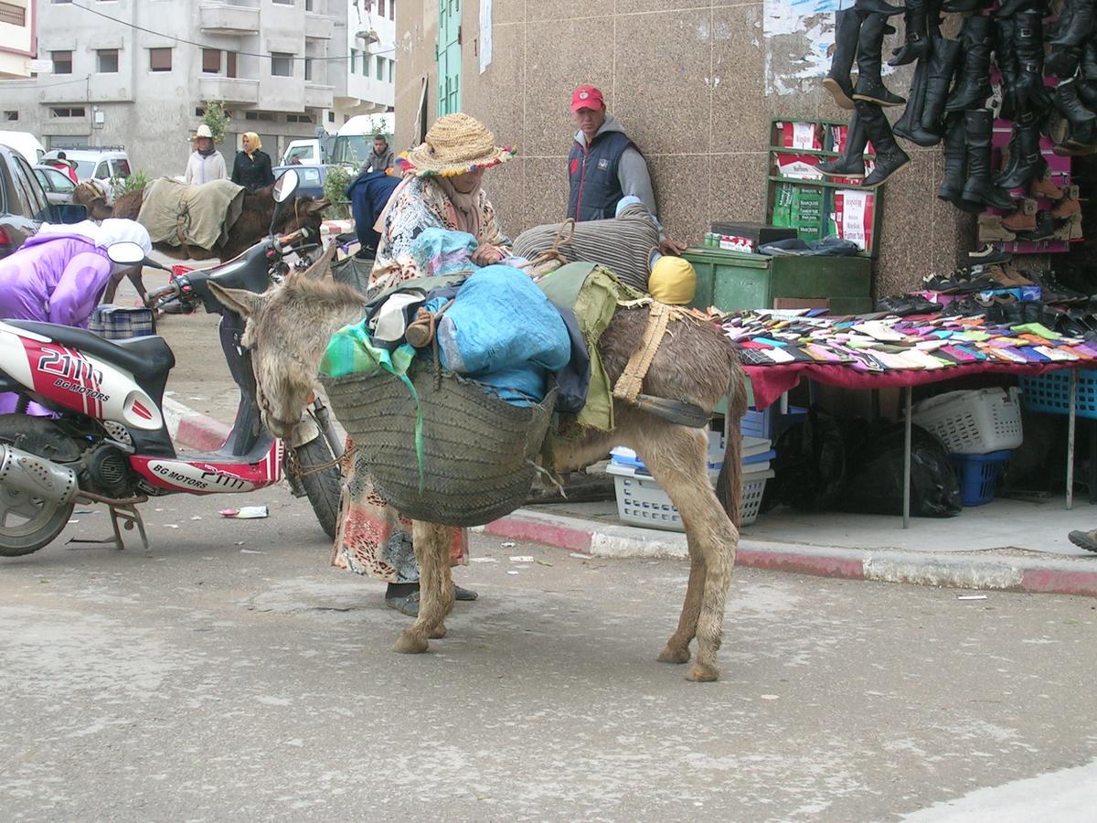 Ferienhaus Dar Es Salam-alta Asilah